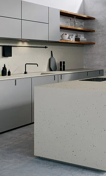 Frozen Terra kitchen