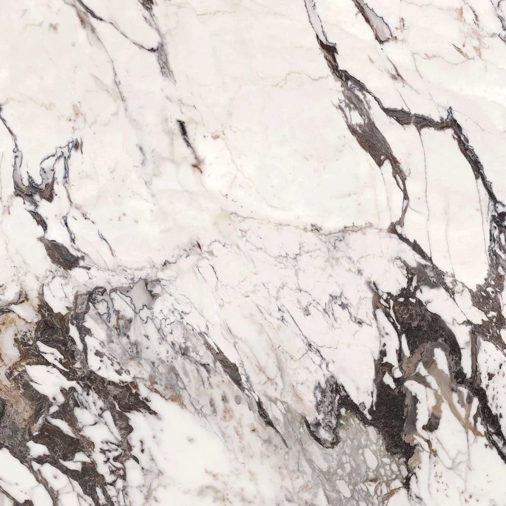 Calacatta Aries slab