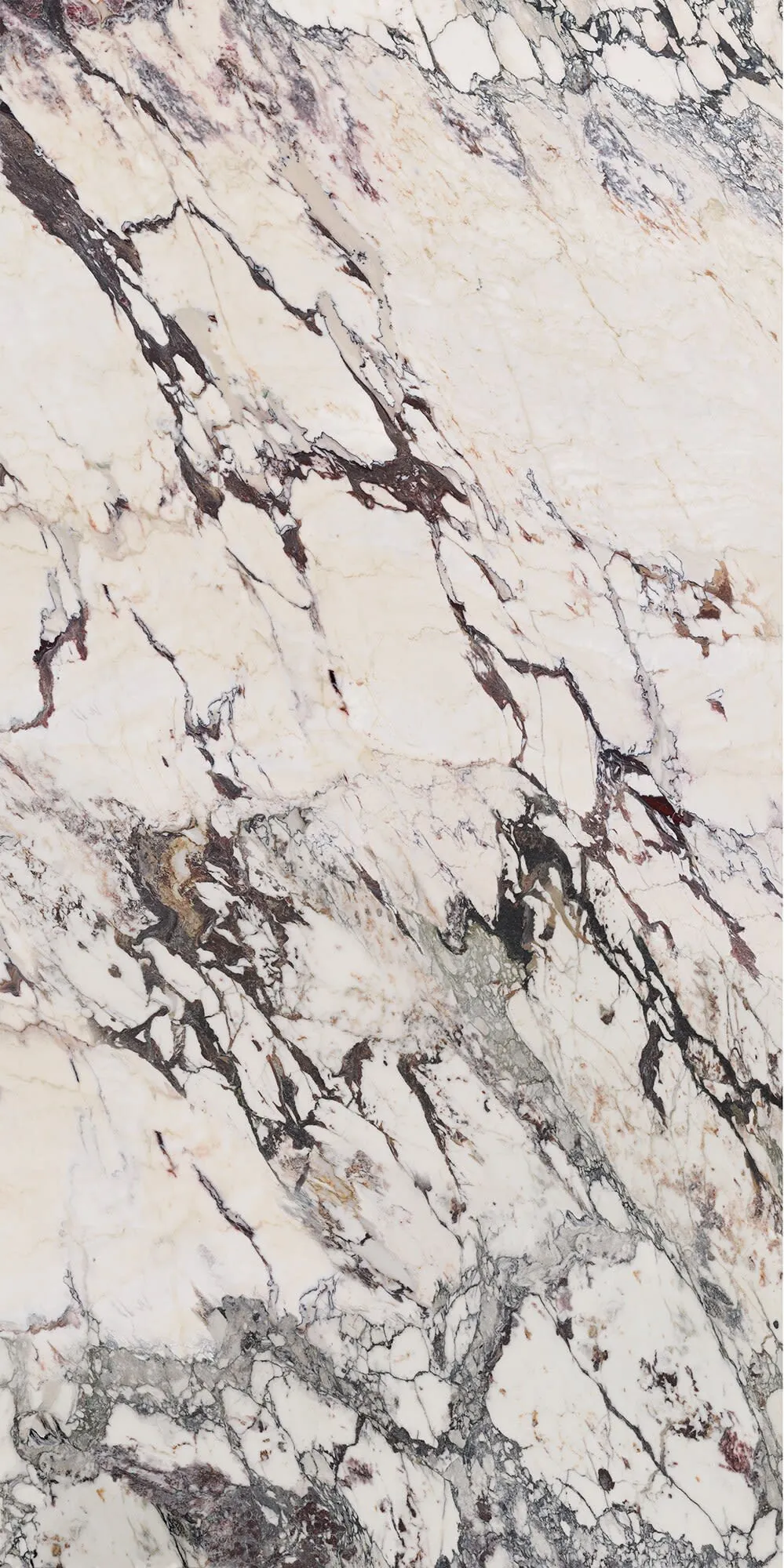 Calacatta Aries detail