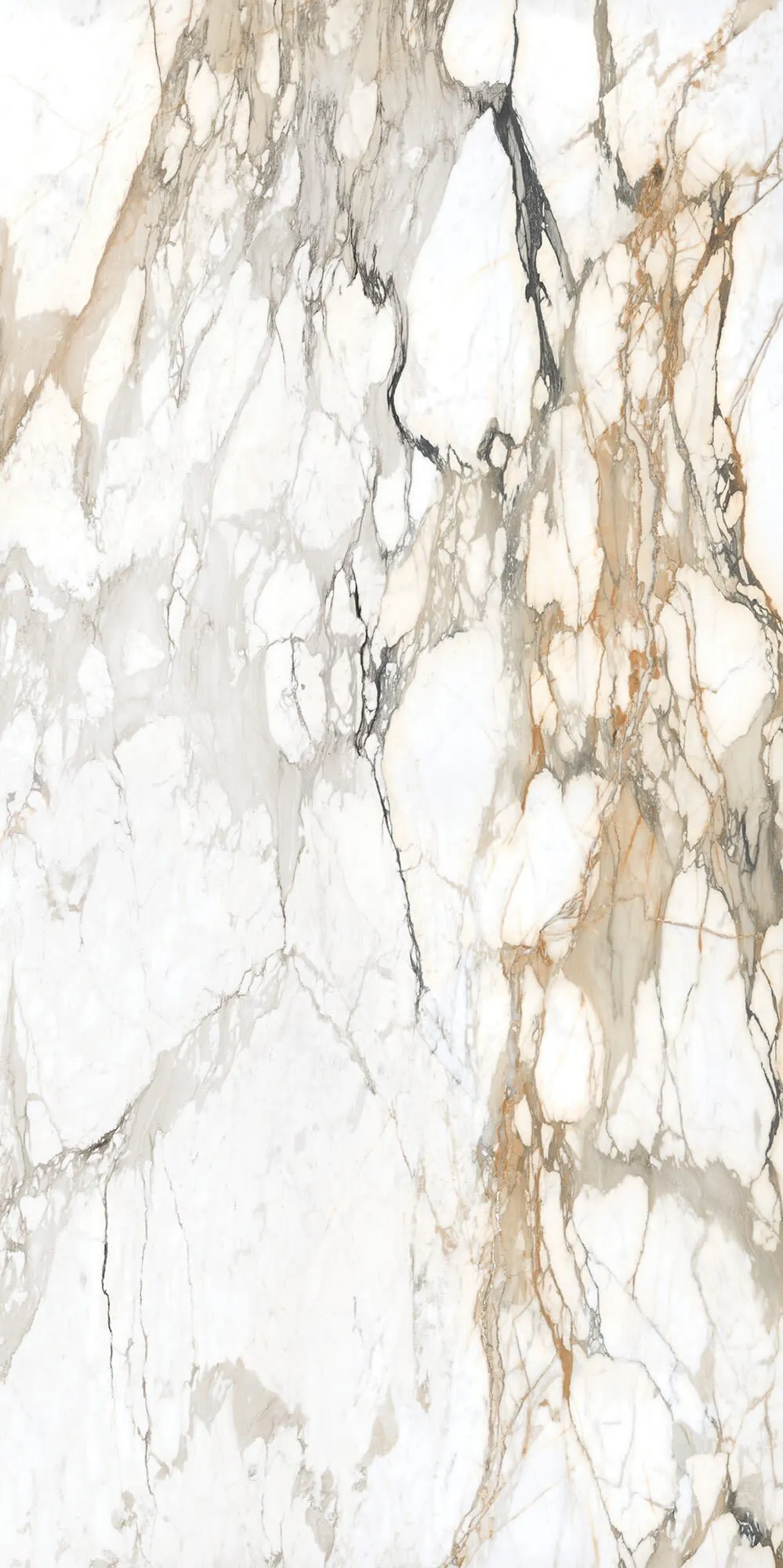 Calacatta Topaz Daltile quartz / porcelain with hardware