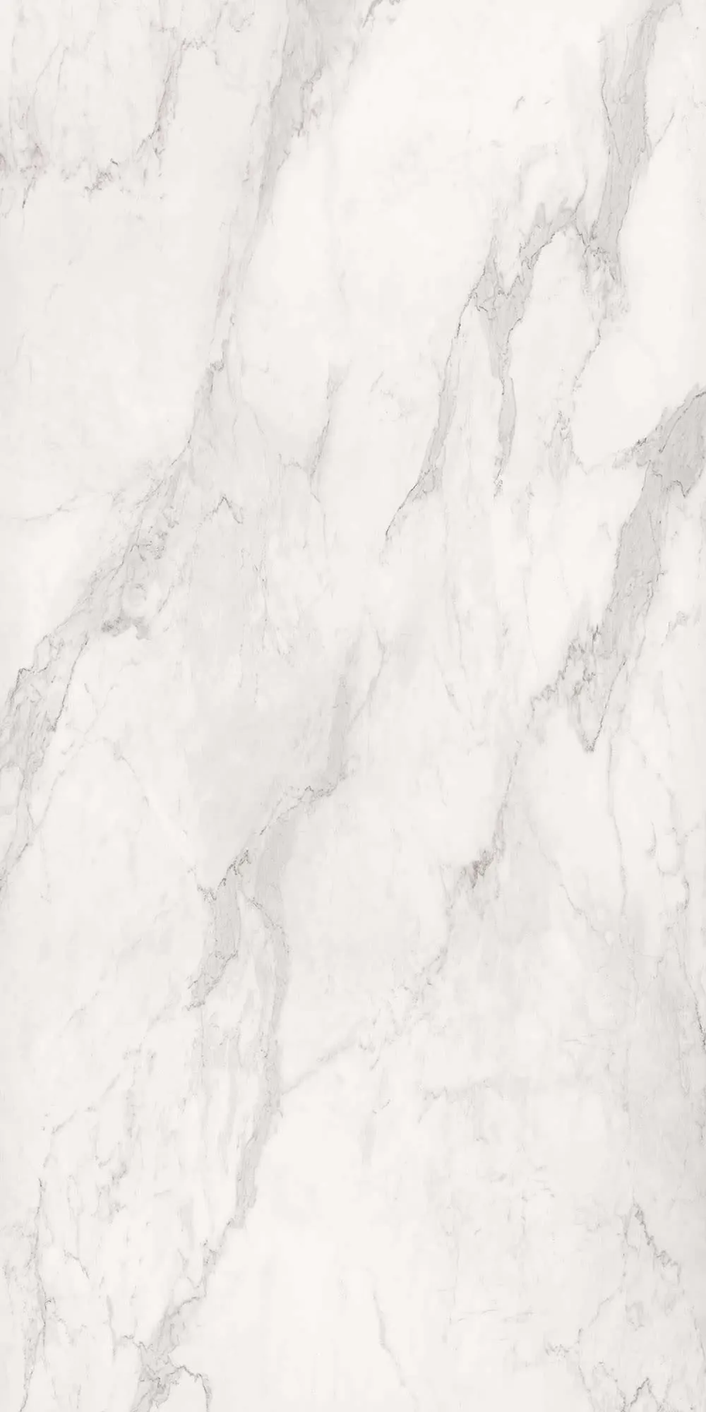 Calacatta kitchen