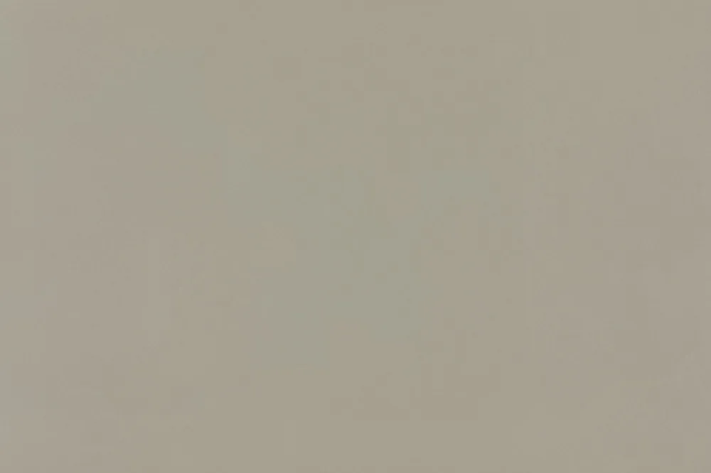 Simply Grey Daltile quartz / porcelain full slab