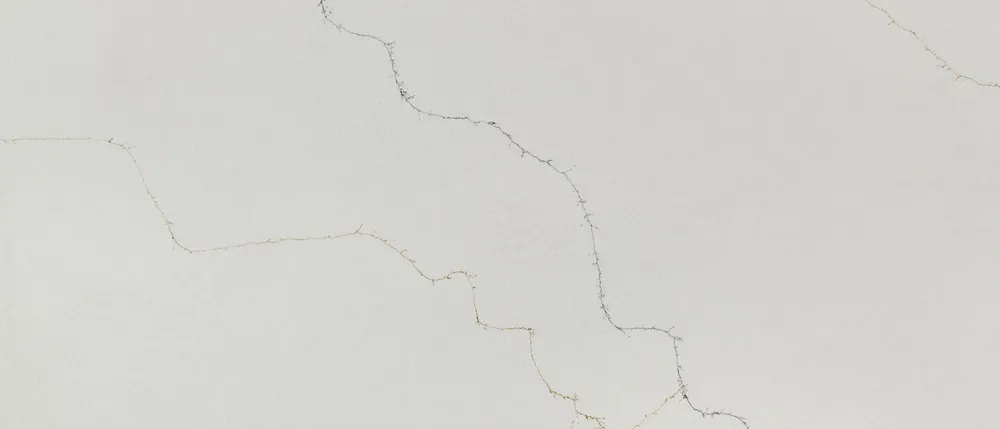 Calacatta Duolina detail