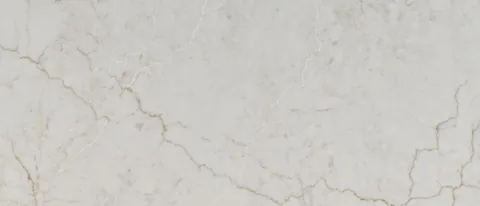 MSI Calacatta Miraggio Cove Quartz countertop slab