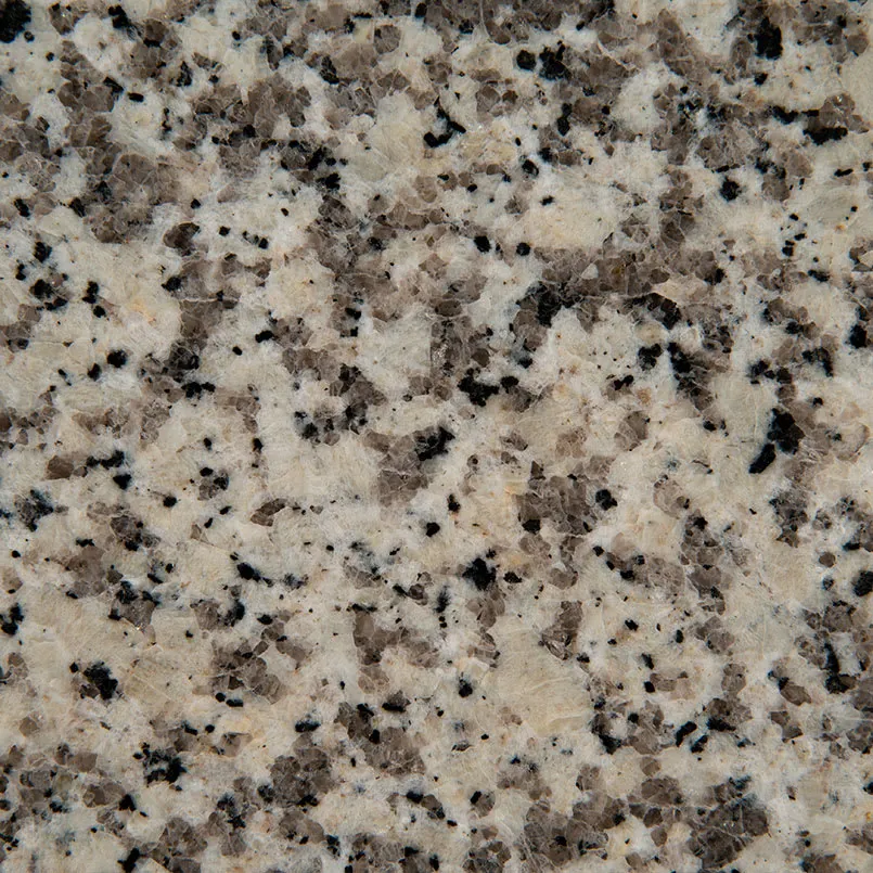Crema Caramel MSI granite installed countertop