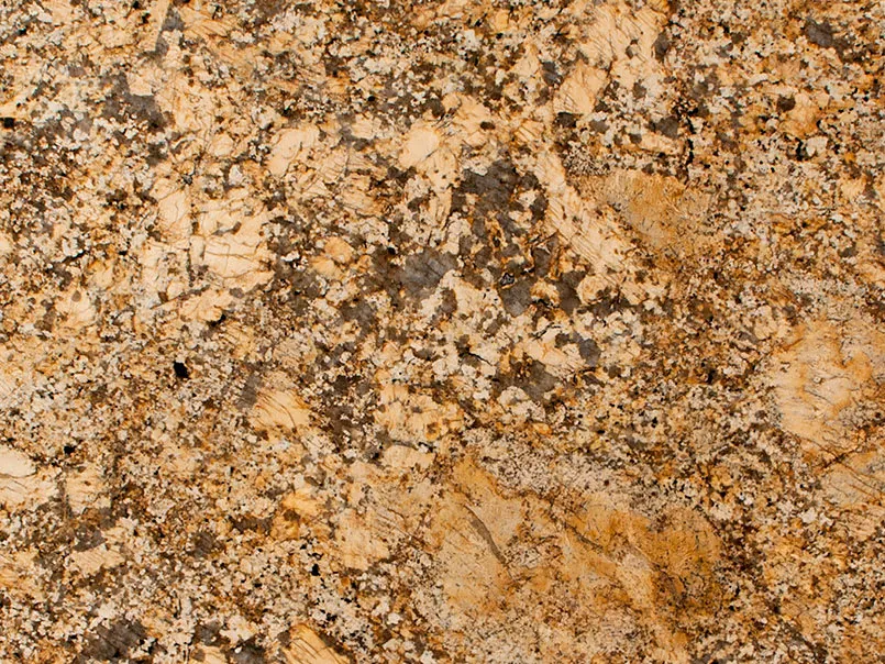 Ferro Gold MSI granite full slab