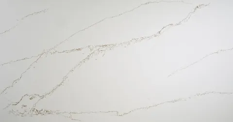 Raphael Collection Tropicana Gold Quartz countertop slab