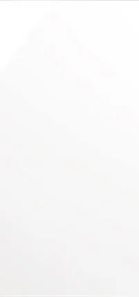 High-gloss white euro slab cabinet door